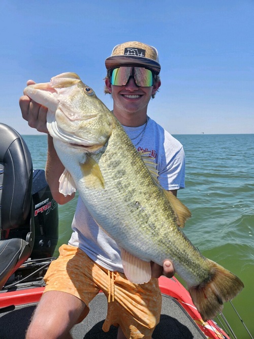 Caught a big ass largemouth bass today off a watermelon senko fuck yeah! :  r/bassfishing